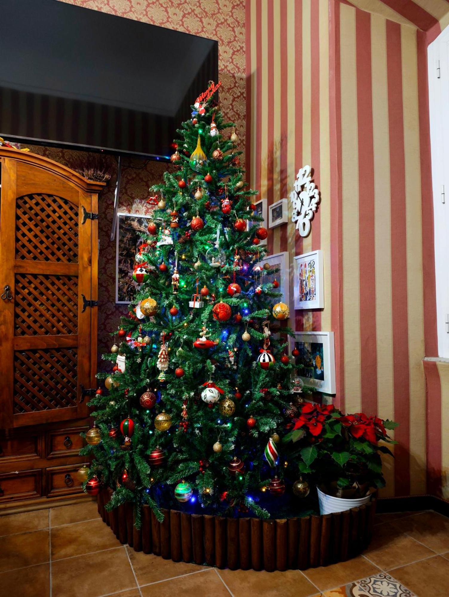 Da Augusto Bed & Breakfast Rome Exterior photo